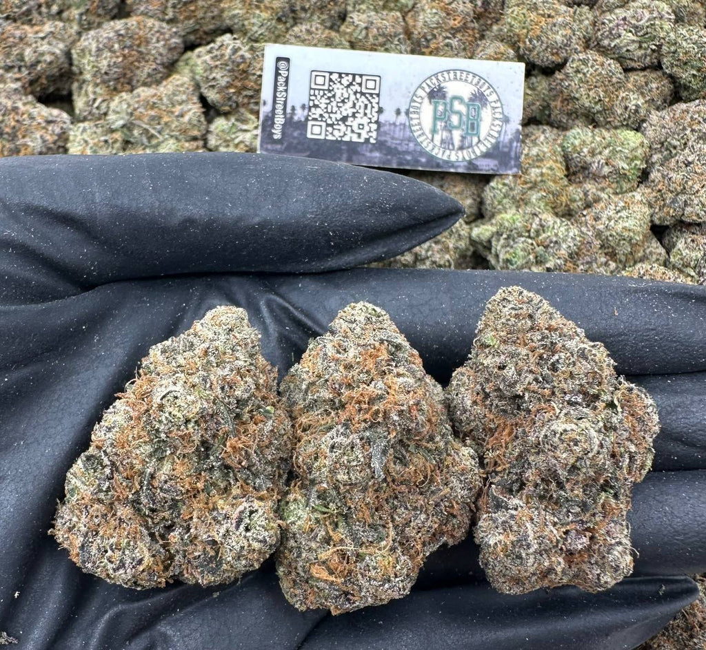 SUPERSTAR GUMBO #12486