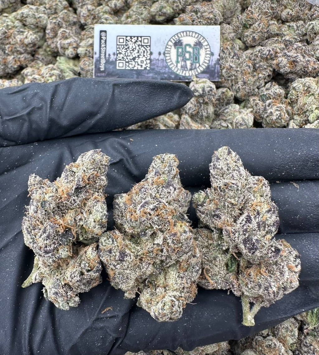 PINEAPPLE RUNTZ #12481