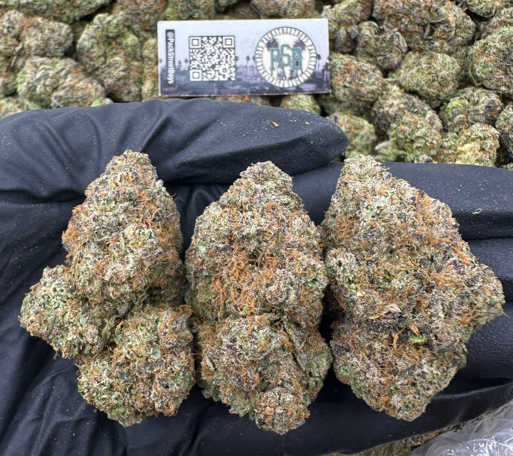 APPLE STRUDEL #12490