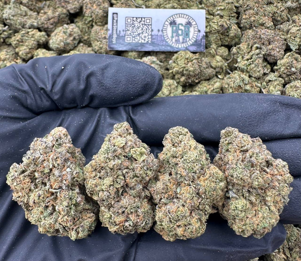 BUBBLEGUM RUNTZ #12466