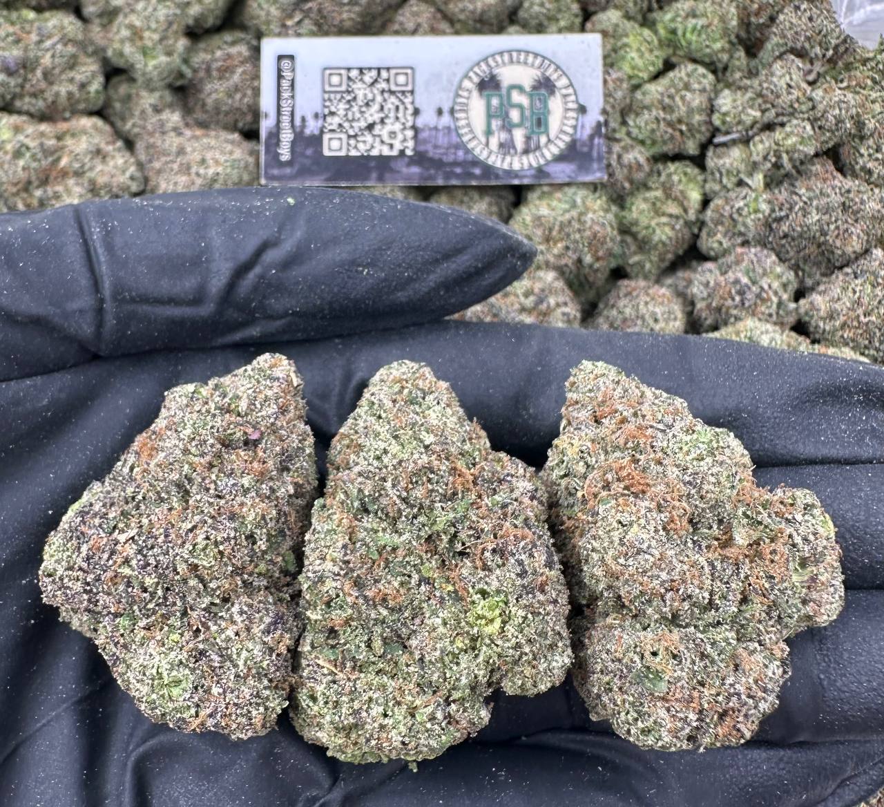 MOCHI DRIZZLE #12507