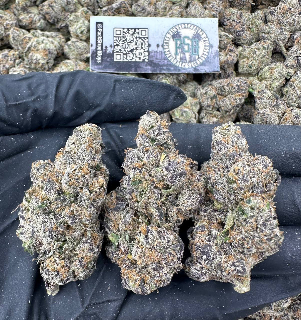 LEMON CHAMPAGNE #12482