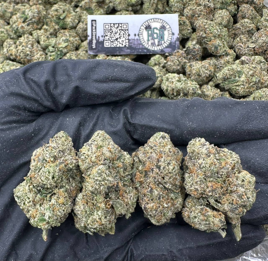 RAINBOW BELTZ #12463