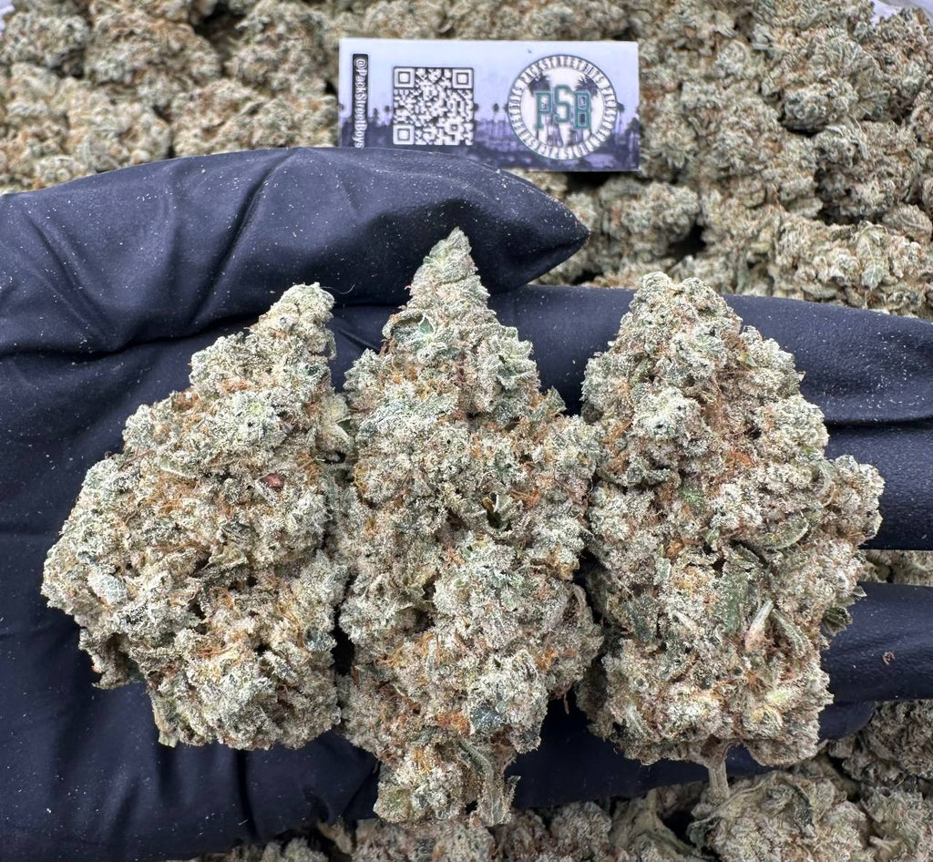 TROPICAL SCOOPS #12513