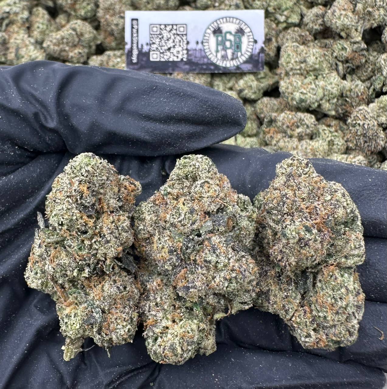 BLUEBERRY ICE BOMB #12462