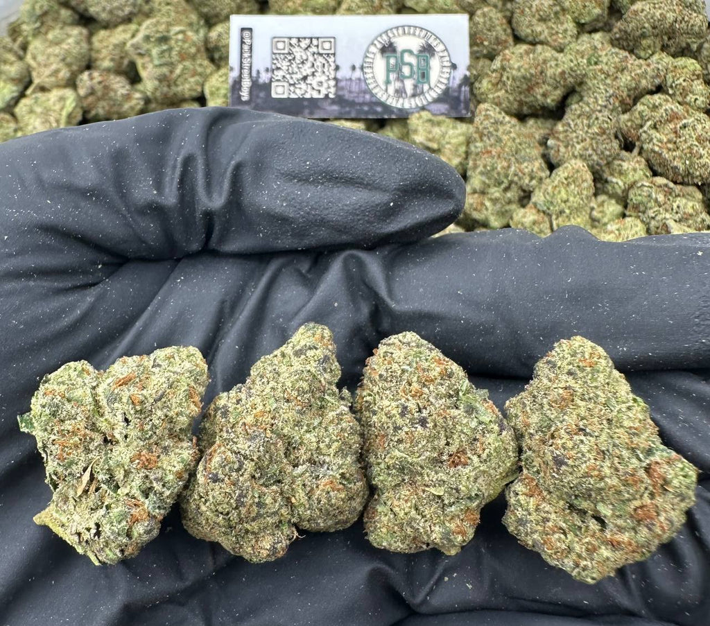 DRAGONFRUIT BLAZE #12461