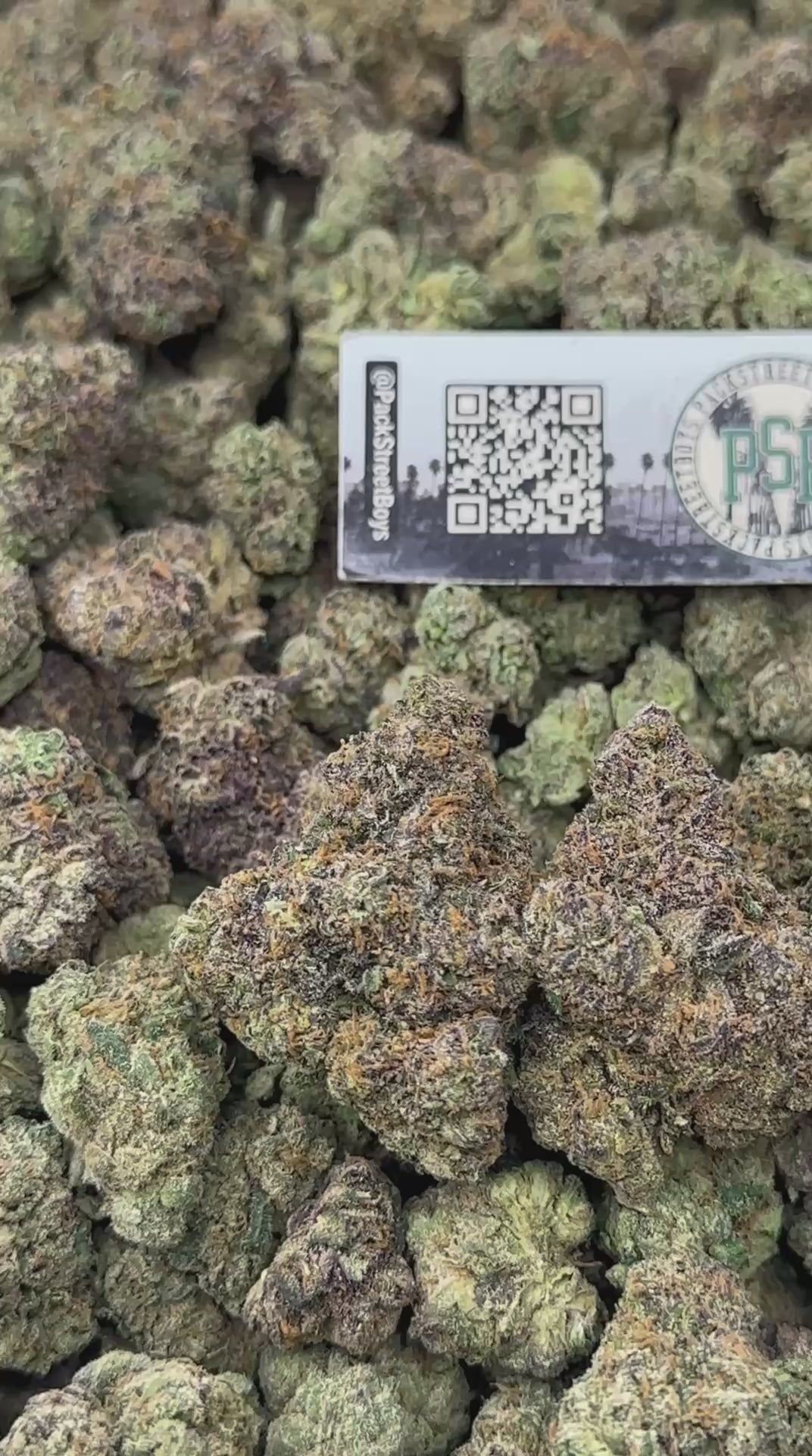 GRAPE STRUDEL #12492