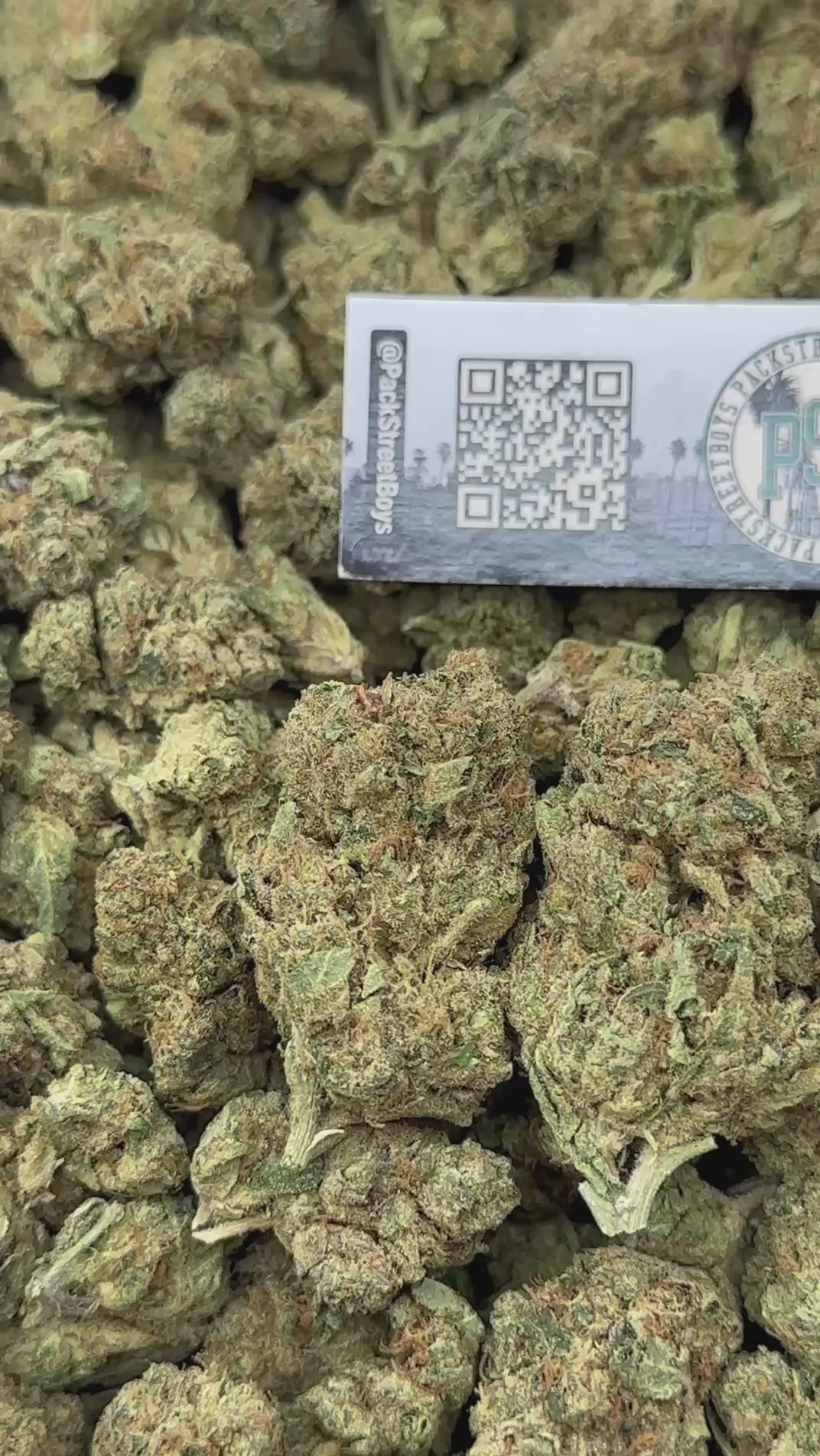 BLUEBERRY FRITTERS #12530