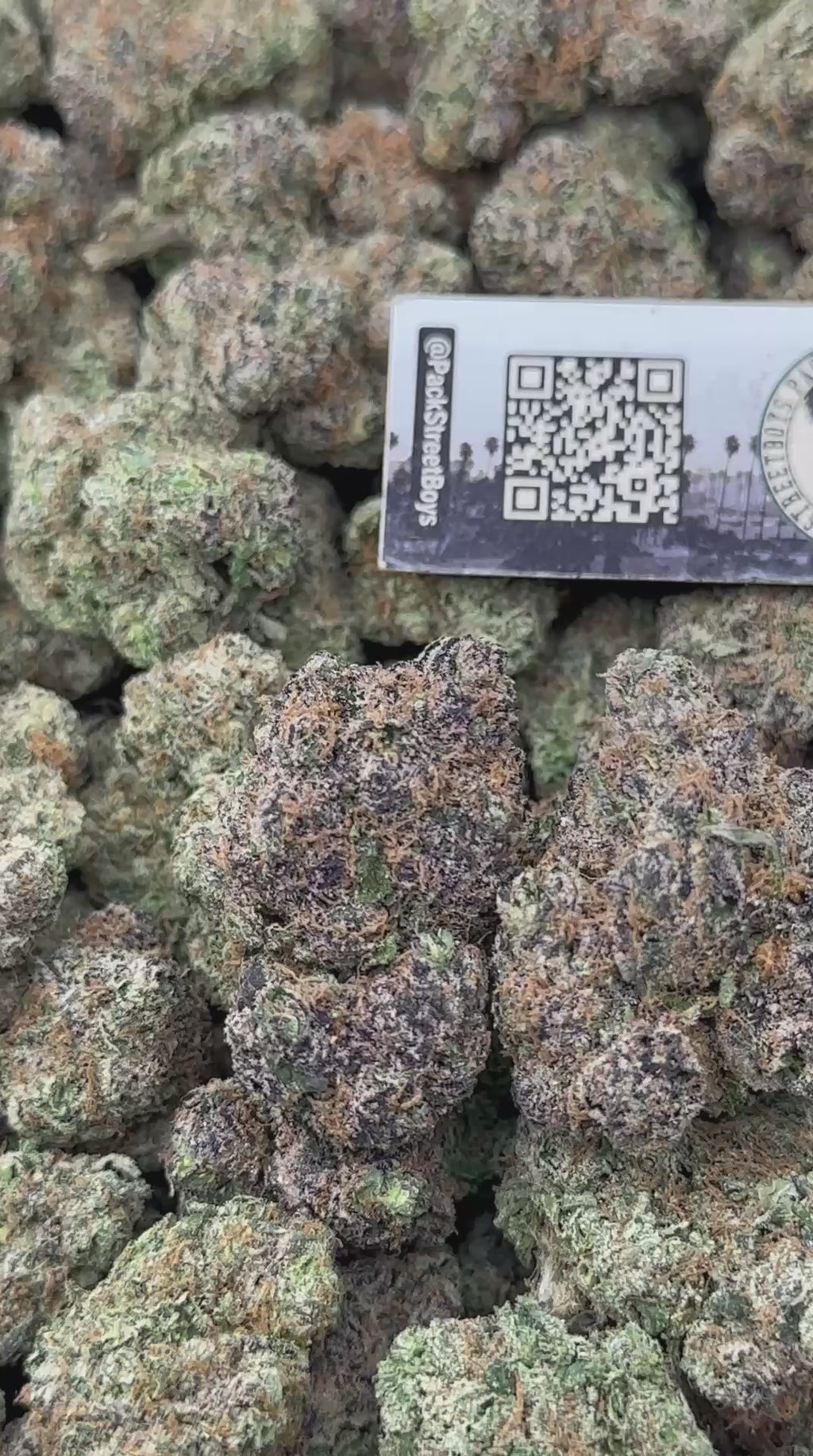 STRAWBERRY CREMA #12505