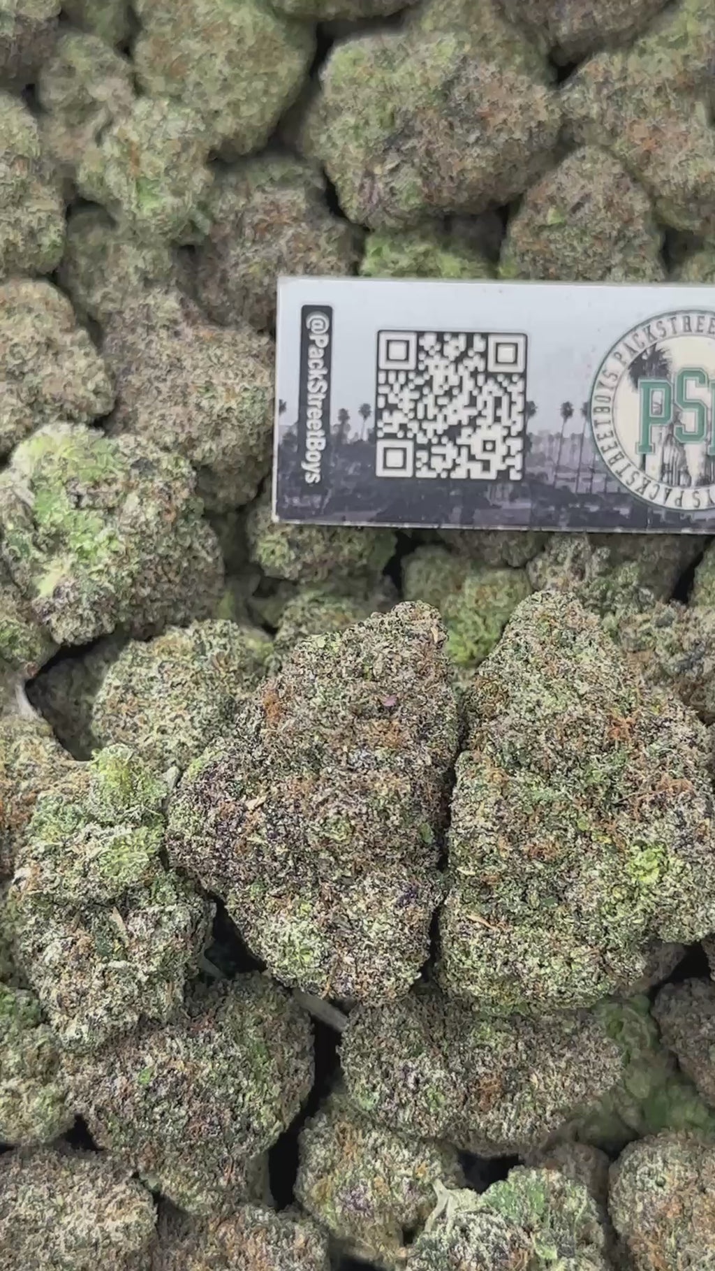 MOCHI DRIZZLE #12507