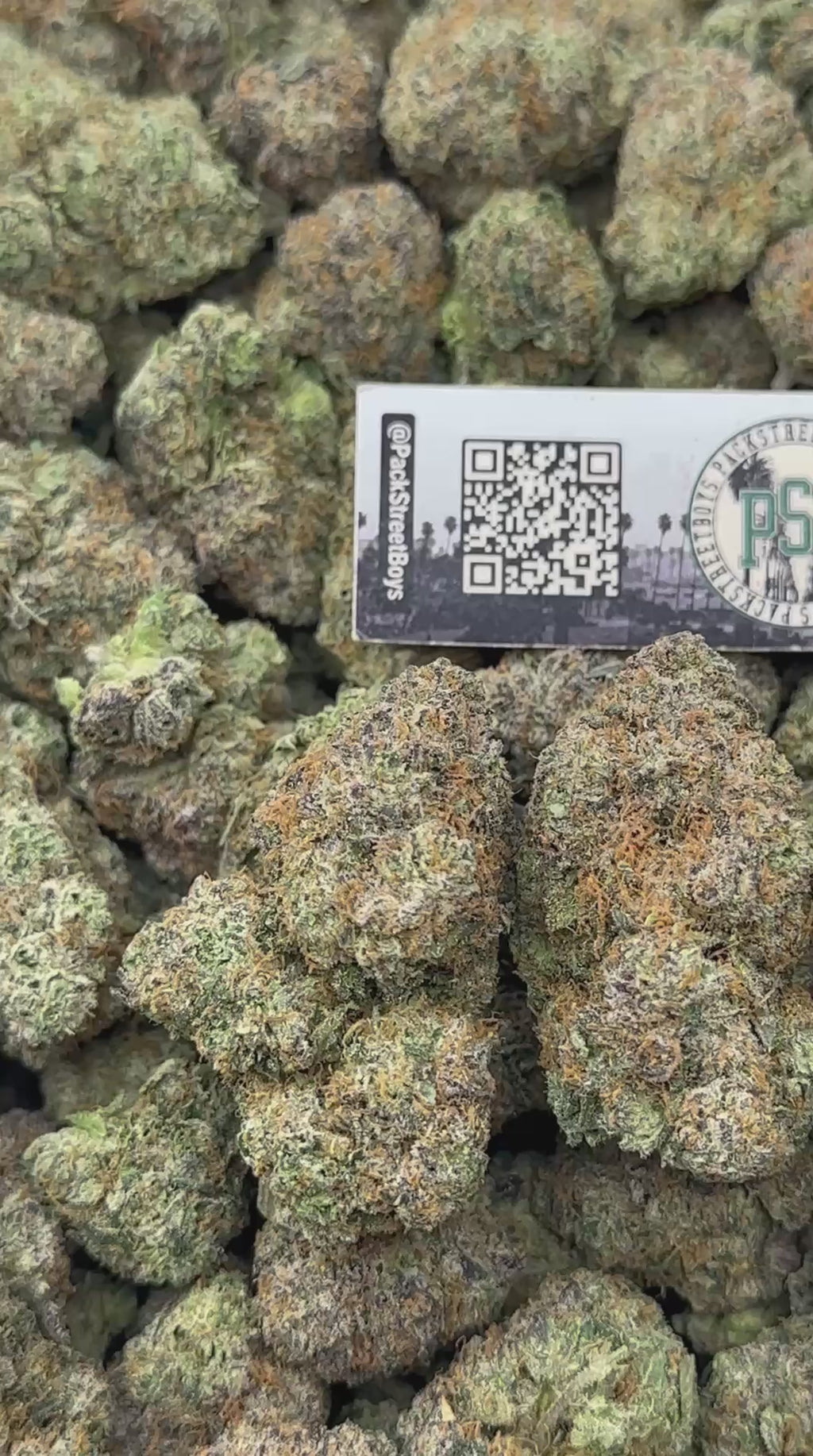 APPLE STRUDEL #12490