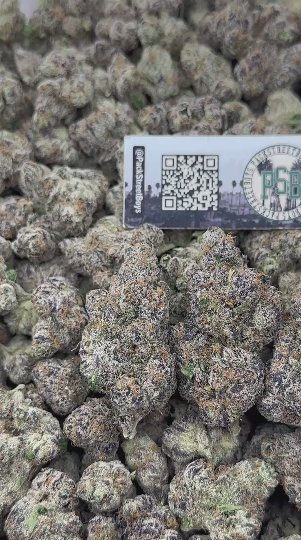 LEMON CHAMPAGNE #12482