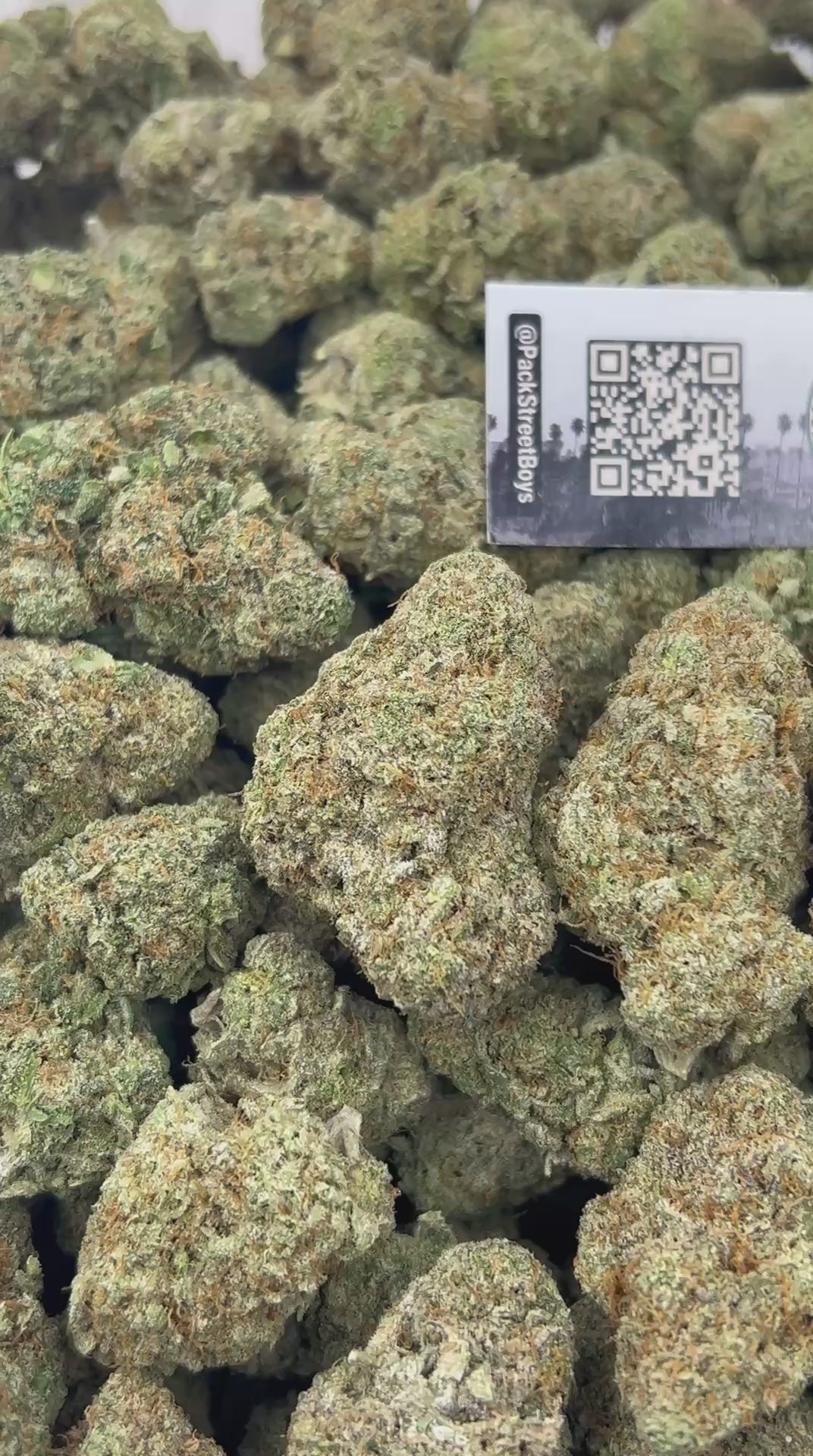 PEANUT BUTTER BREATH #12475