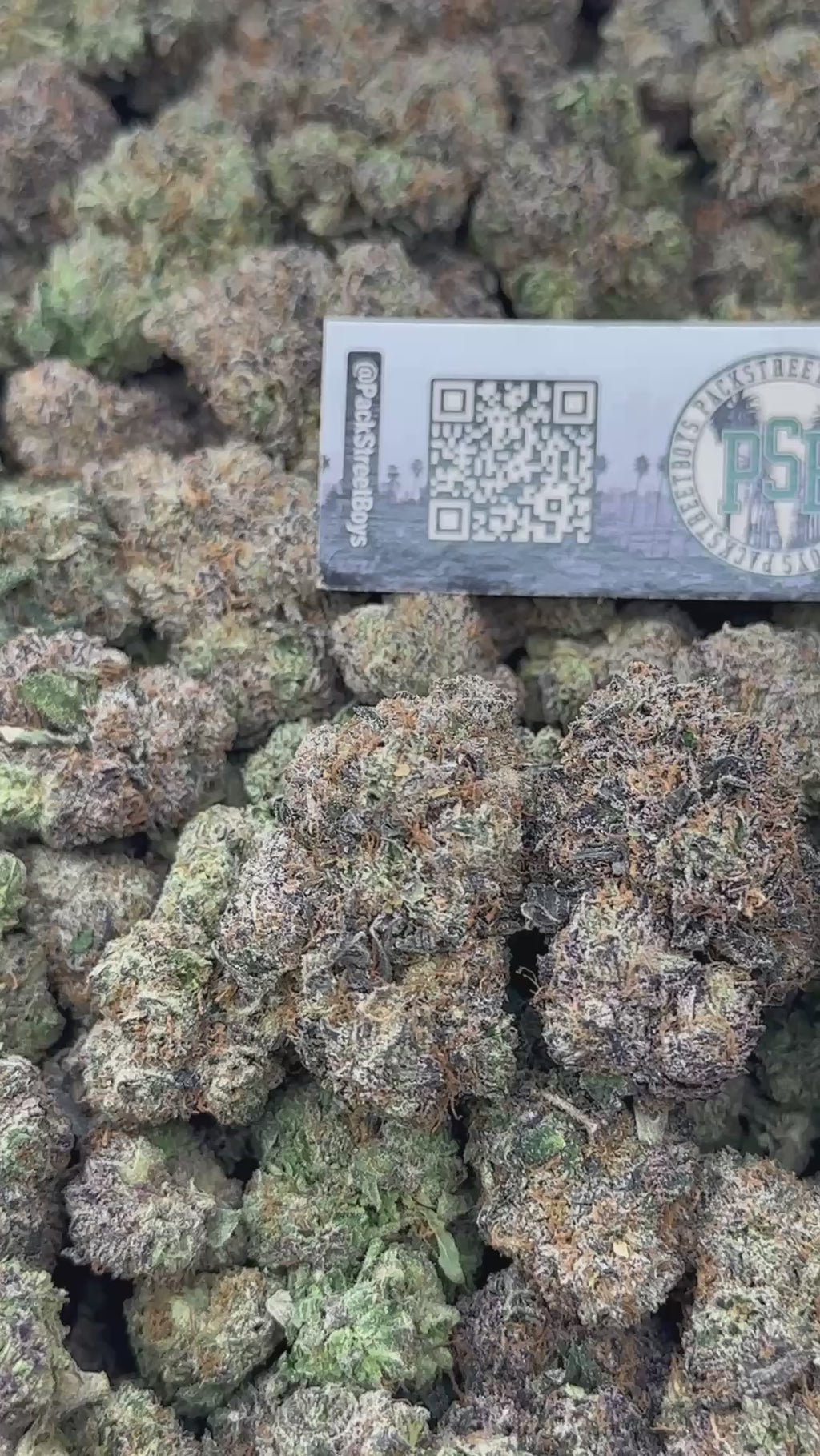 CHERRY POPTART #12532