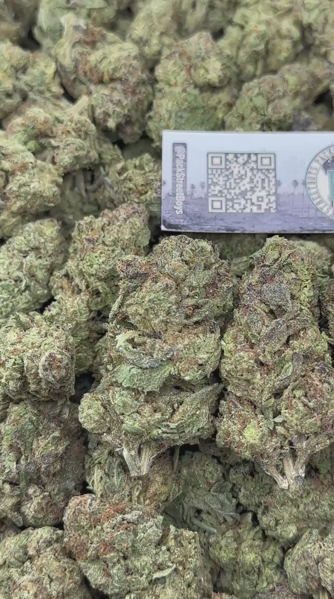 STRAWBERRY POPTART #12529