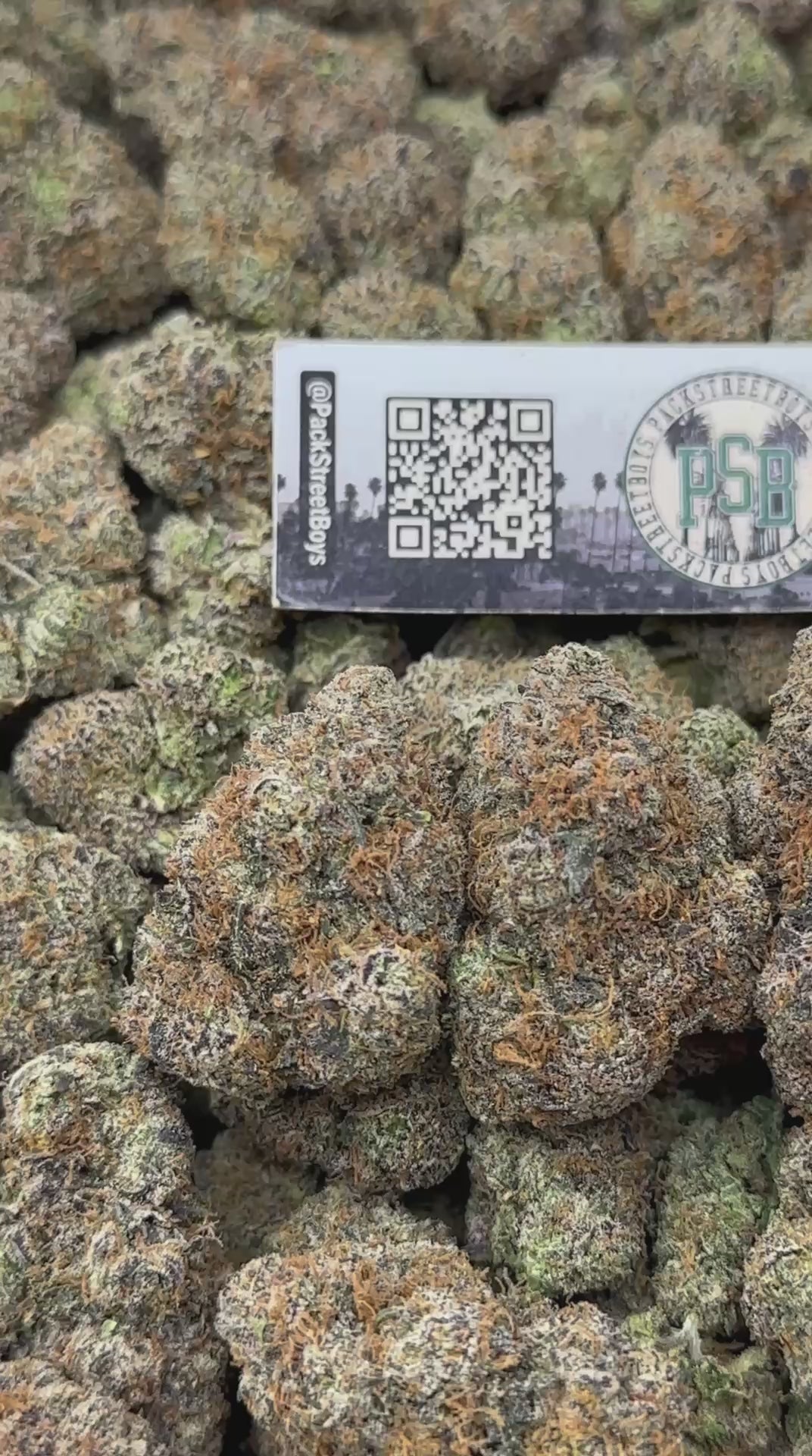 SUPERSTAR GUMBO #12486