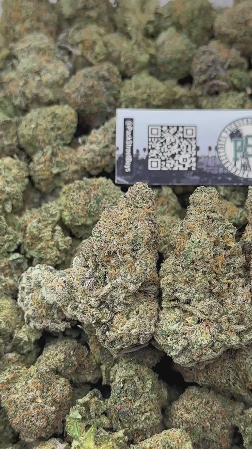 BLUEBERRY ZAP #12467